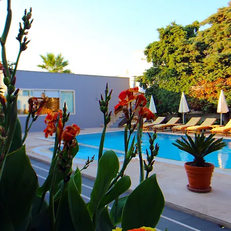 The Losh Hotel Yalıkavak