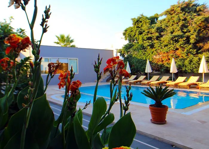 The Losh Hotel Yalıkavak